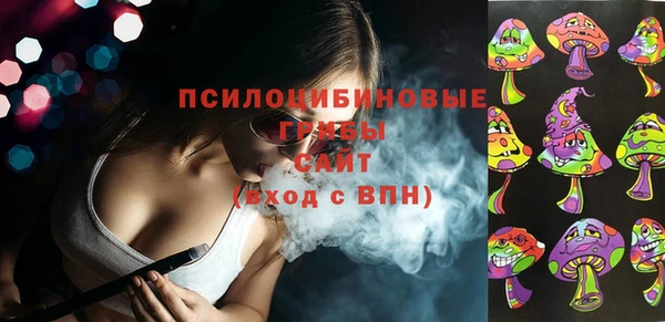 тгк Алексин