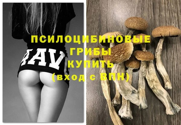 дурь Аркадак