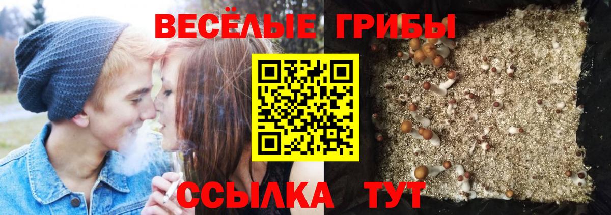Галлюциногенные грибы GOLDEN TEACHER Березники