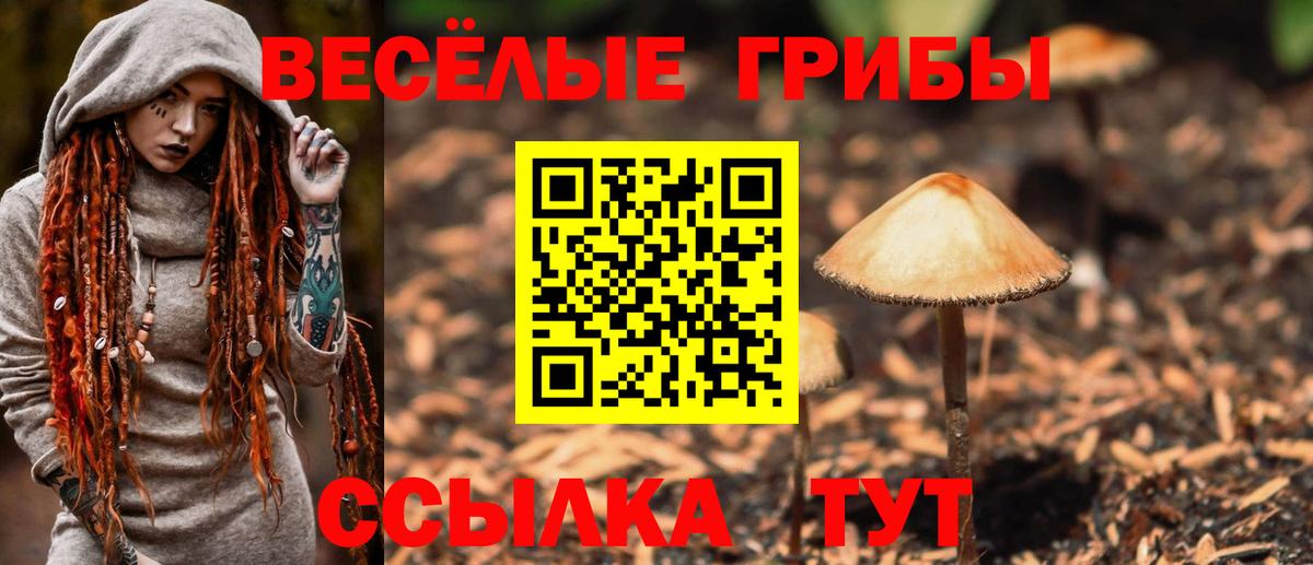 Галлюциногенные грибы Psilocybine cubensis  Вход с VPN  Березники  где купить наркотик  Галлюциногенные грибы мухоморы 